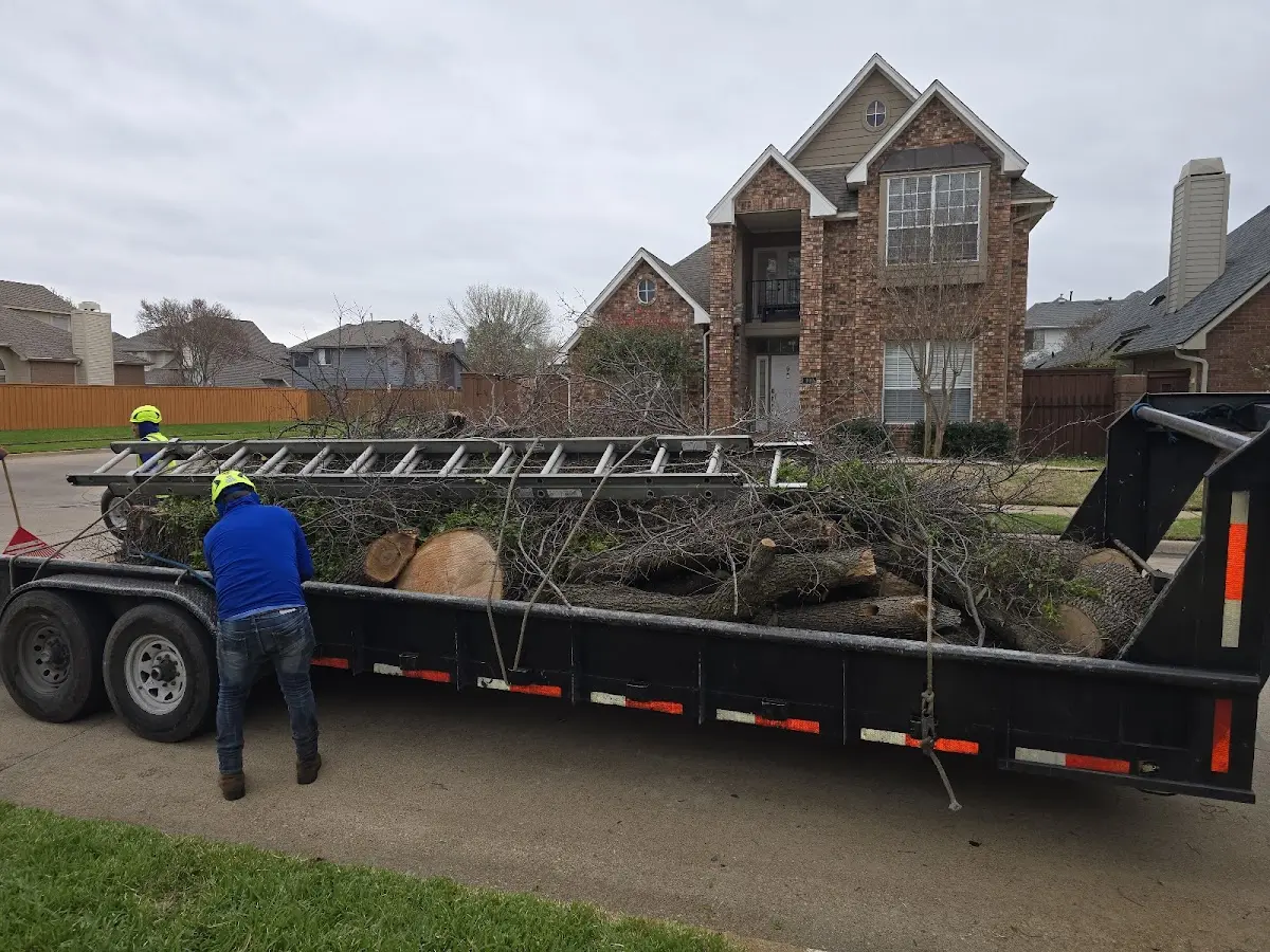 Expert Tree Removal with proper safety equipment in Ringgold